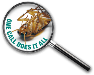 Guarantee Pest Control, HD Png Download PNG