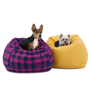 Pet-Friendly Beanbag Options PNG 14 PNG