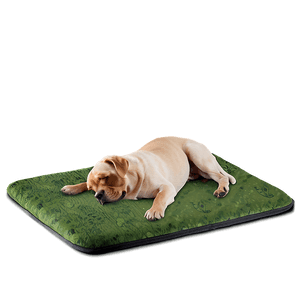 Pet-Friendly Mat PNG tmm32 PNG with transparent background