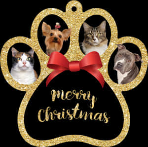 Pets Merry Christmas Ornament PNG image with transparent background