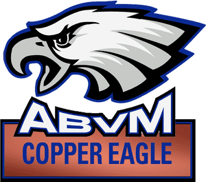 Philadelphia Eagles Clipart , Png Download - Philadelphia Eagles, Transparent Png PNG image with transparent background