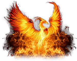 Phoenix Png, Transparent Png PNG image with transparent background