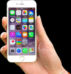 Phone In Hand Png, Transparent Png PNG image with transparent background