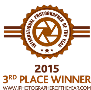 Ipoty 2015 3rd Place Winner, HD Png Download PNG with transparent background