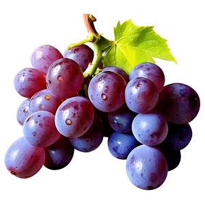 Photorealistic Grape Png Ncm PNG Image