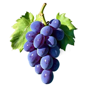 Photorealistic Grape Png Tlm PNG Image