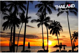 Phuket_ Sunset_ Palm_ Silhouettes PNG Image