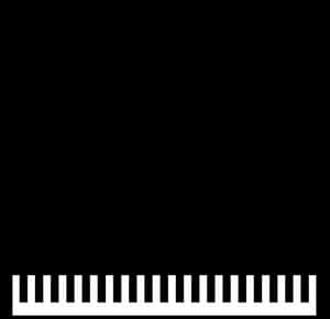 Transparent Grand Piano Png - Baby Grand Piano Top View, Png Download PNG image with transparent background