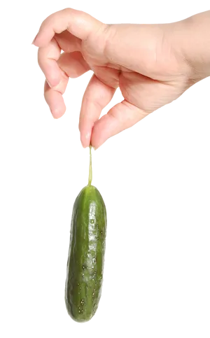 Pickle Dangling From Fingertips.jpg PNG Image