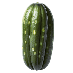 Pickled Cucumber PNG esl29 PNG
