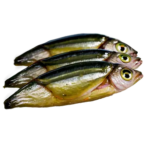 Pickled Sardines Png Bdo84 PNG Image