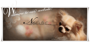 Picture, HD Png Download PNG image with transparent background