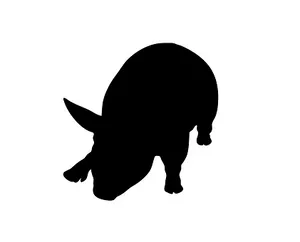 Pig Silhouette Graphic PNG Image