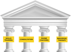 What Does It Mean To Be A Fully - Pillars Of Dbt, HD Png Download PNG