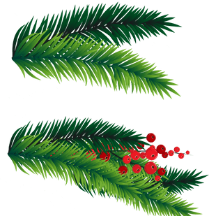 Transparent Leaf Clipart Png - Christmas Tree Branch Png, Png Download PNG with transparent background