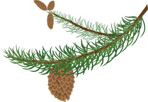 Clipart Winter Tree Branch, HD Png Download PNG with transparent background