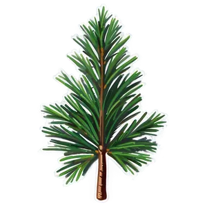 Pine C PNG Image