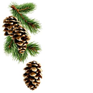 Pine Cone PNG 06202024 PNG