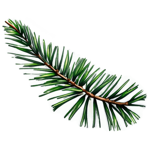 Pine Leaves PNG 05042024 PNG image with transparent background