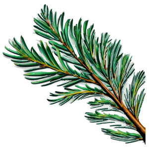 Pine Leaves PNG 24 PNG image with transparent background