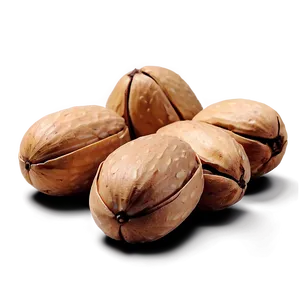 Pine Nut Png Uau PNG Image