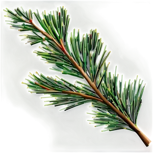 Pine Tree Branches Png Oth24 PNG Image