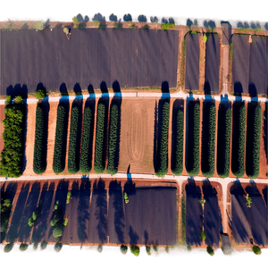 Pine Tree Farm Aerial PNG 28 PNG with transparent background