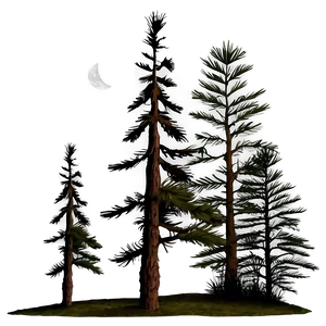 Pine Tree Moonlight Scene Png 23 PNG Image