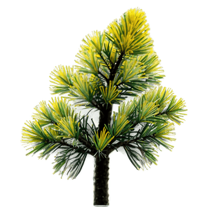 Pine Tree Pollen Cloud PNG swk PNG with transparent background