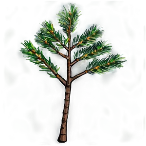 Pine Tree Sapling Png Ert PNG Image