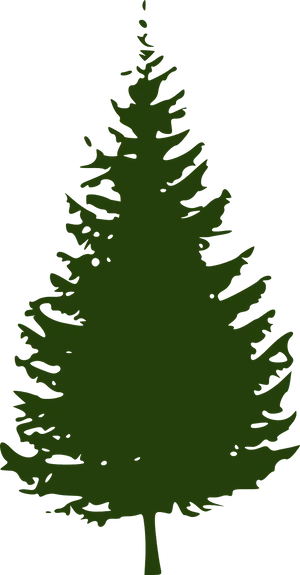 Pine Tree Silhouette Graphic PNG Image