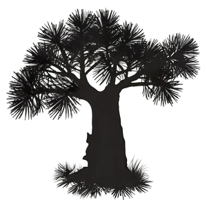 Pine Tree Sunset Silhouette Png Vln89 PNG Image