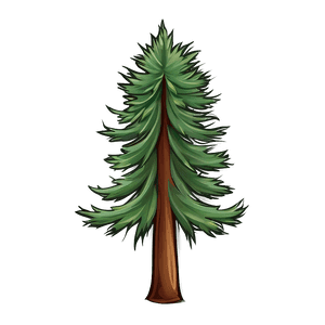 Pine Tree Vector Icon PNG uax PNG with transparent background