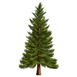 Pine Trees Forest PNG 05252024 PNG
