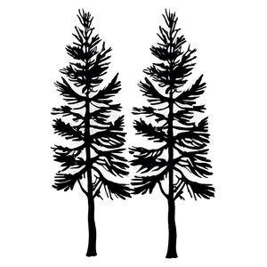 Pine Trees Silhouette PNG 05252024 PNG