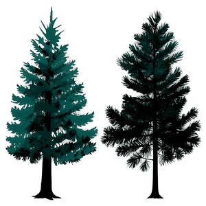 Pine Trees Silhouette PNG crv PNG