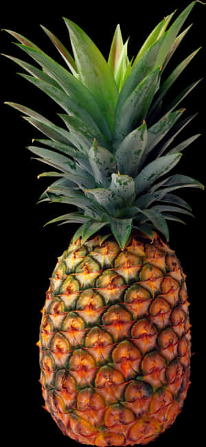 Pineapple Png Image PNG image with transparent background