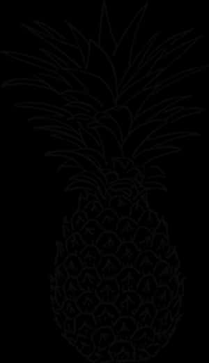 Pineapple Silhouette Outline PNG image with transparent background