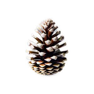 Pinecone Collection Set Png 45 PNG Image