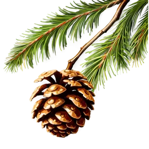 Pinecone With Branch Png Rgl PNG Image