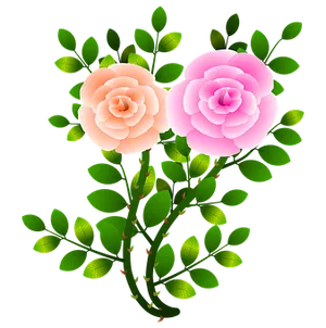 Pink_and_ Peach_ Roses_ Vector_ Illustration PNG Image