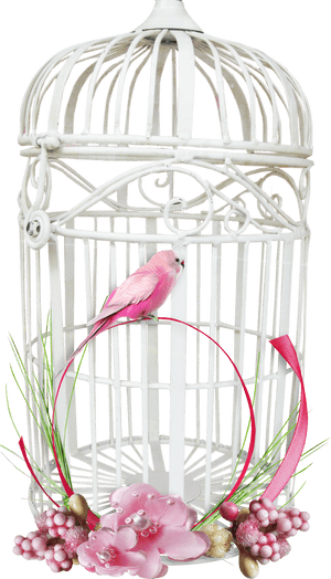White Bird Cage Png Image - Transparent Background Bird Cage Png, Png Download PNG with transparent background