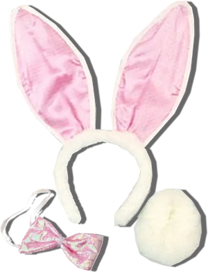 Pink Bunny Ears Costume Set PNG Image