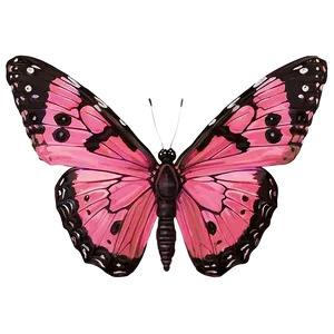 Pink Butterfly Close-up Png 46 PNG Image