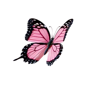 Pink Butterfly In Nature Png Dye46 PNG Image