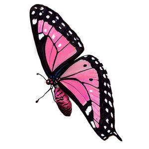 Pink Butterfly In Wild Png Ego70 PNG Image