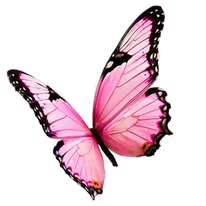 Pink Butterfly Real Image Png 06212024 PNG Image