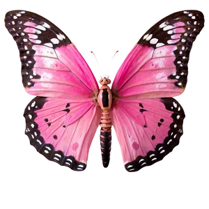 Pink Butterfly Real Image Png Kvm PNG Image