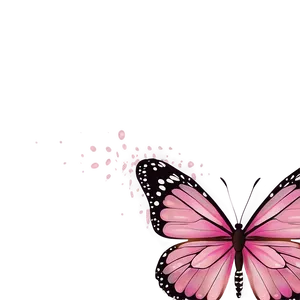 Pink Butterfly Transparent Background Png Lig PNG Image