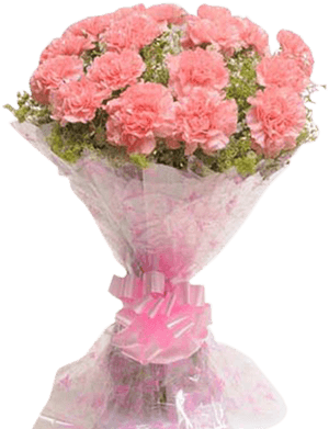 Carnation - Pink Carnation Flower Bouquet, HD Png Download PNG image with transparent background